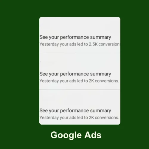 Google Ads Conversion Data (1)