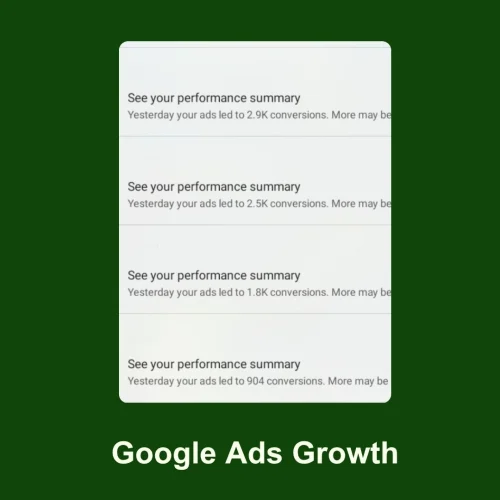 Google Ads Conversion Data